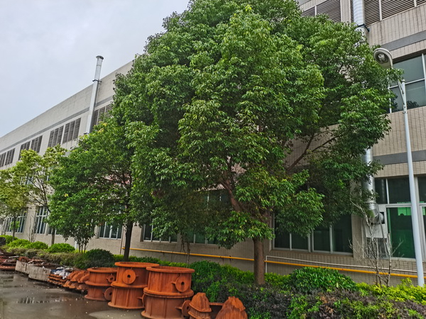 企業形象